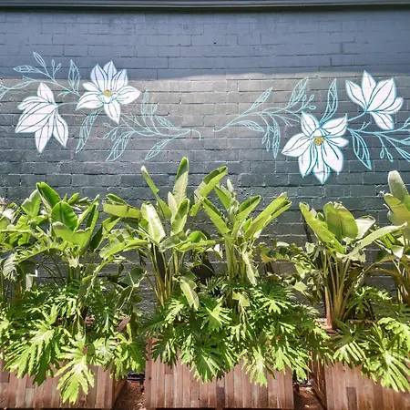 Saint Claude Stunner New Orleans