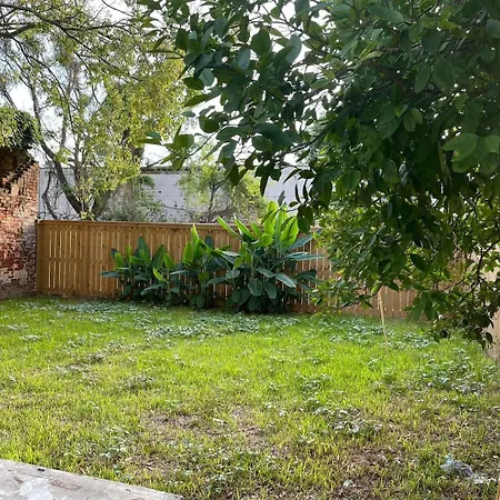 Lower Garden District Gem - Walk To Magazine St New Orleans
