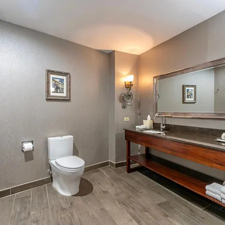 Hotel Wyndham Garden New Orleans Downtown 3*