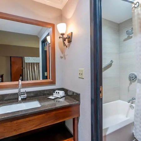 Wyndham Garden New Orleans Downtown Hotel 3*