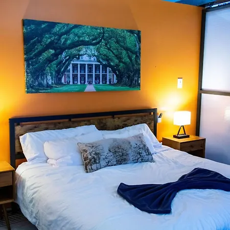 Downtown W Rooftop Gym & Patio Holiday home *