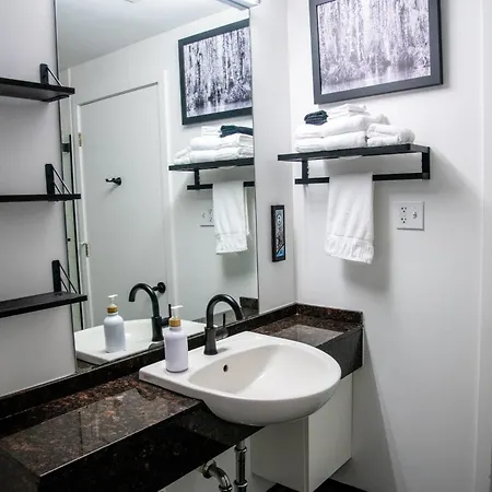 Downtown W Rooftop Gym & Patio Holiday home New Orleans
