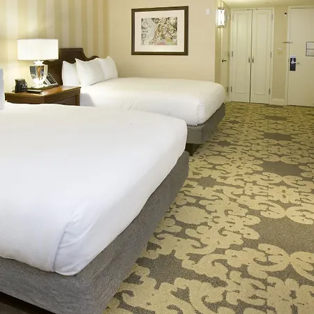 Hilton Riverside 4*