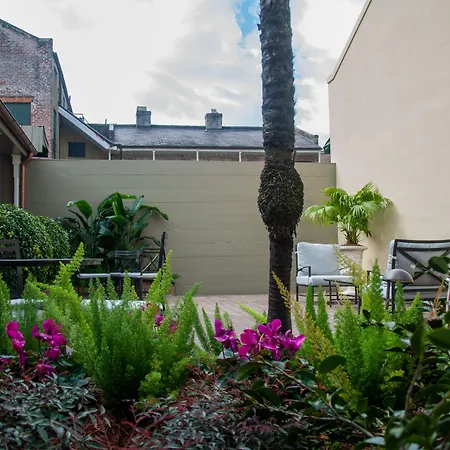 Dauphine Orleans Hotel New Orleans