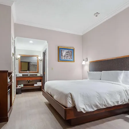 Hotel Wyndham Garden New Orleans Downtown 3*