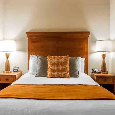 Hotel Voco St By Ihg 4*