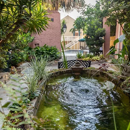 Lamothe House A French Quarter Hotel New Orleans