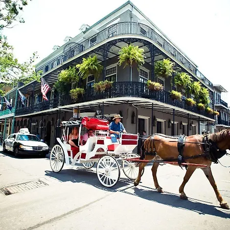 Hotel Royal 3*