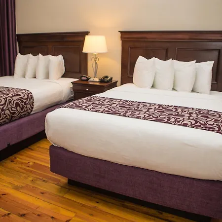 On St. Ann, A French Quarter 3* New Orleans