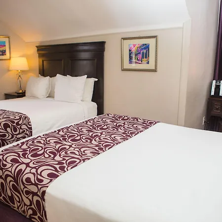 Inn On Ursulines, A French Quarter