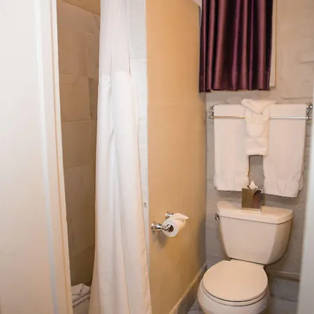 On Ursulines, A French Quarter 3*