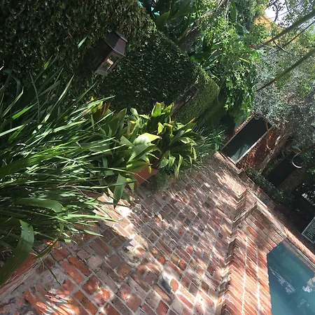 Audubon 4*
