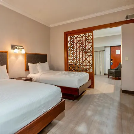 Wyndham Garden New Orleans Downtown 3* New Orleans
