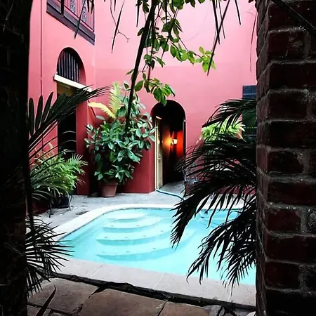 The Olivier House New Orleans