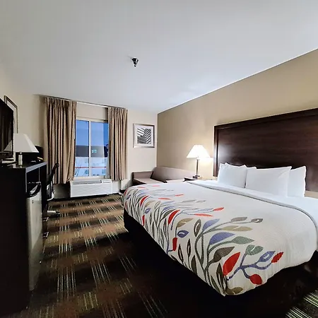 Hotel Trident & New Orleans