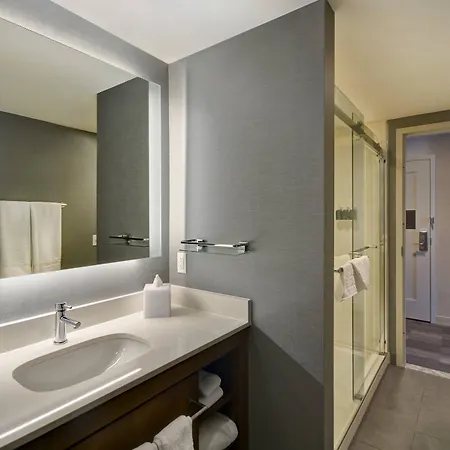 Hotel By Marriott French Quarter Area/cen B 3*