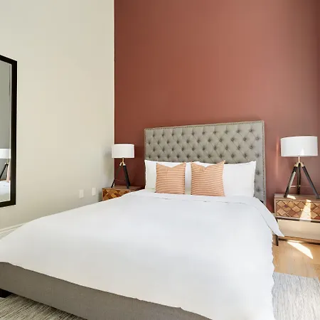 The Harlequin By Avantstay 4* New Orleans