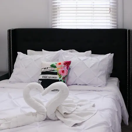 Hotel 9br-sleeps 19. Amazing Deal!! New Orleans