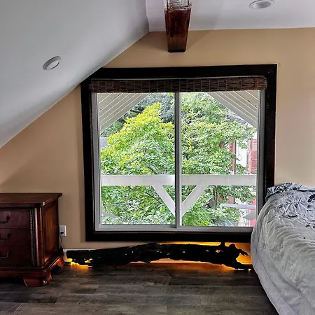 Apartment Birds' Nest