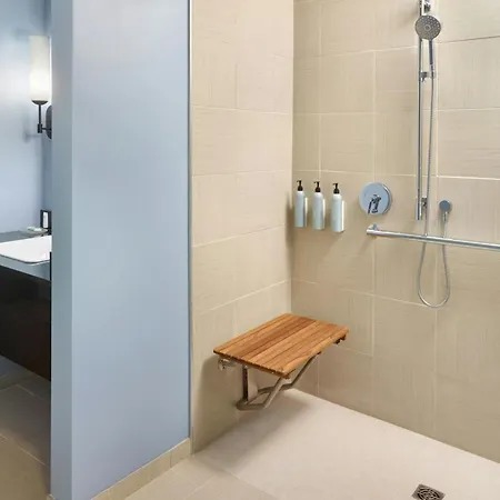Hotel Courtyard By Marriott French Quarter/iberville 3*