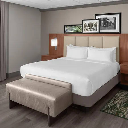 Hotel Doubletree By Hilton New Orleans
