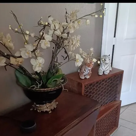 Authentic Treme Holiday home *