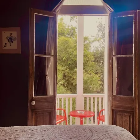 The Dragonfly Treme-historic Guesthouse-near French Quarter Bed & Breakfast New Orleans