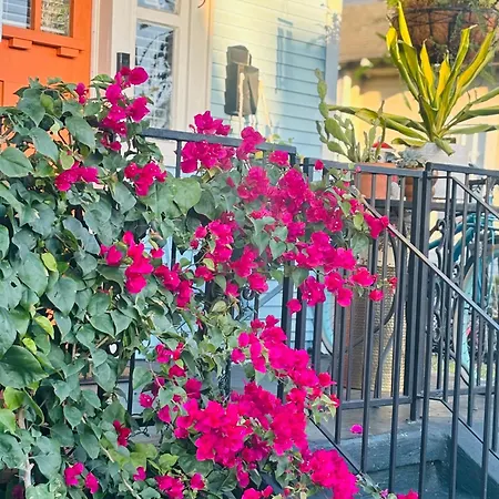 Charming Creole Near French Quarter Apartment New Orleans