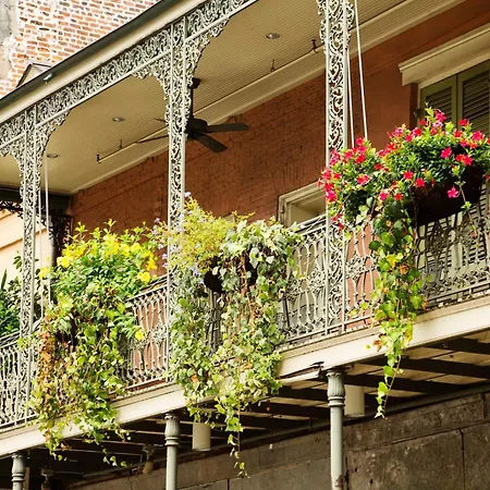 Hotel Indigo - French Quarter By Ihg 3*