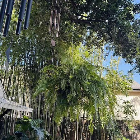 The Dragonfly Treme-historic Guesthouse-near French Quarter New Orleans