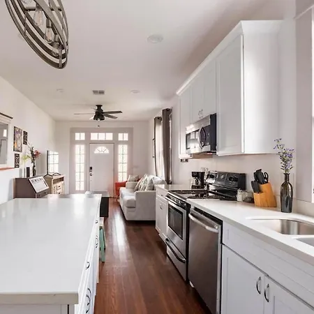 Beautiful Allen Toussaint Earhart Duplex