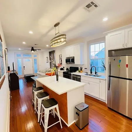 Beautiful Allen Toussaint Earhart Duplex