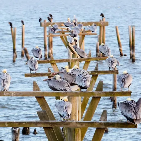 Holiday home Private Dock & Pool: Luxe Nola Group Getaway! New Orleans