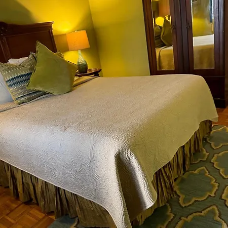 The Dragonfly Treme-historic Guesthouse-near French Quarter 3* New Orleans