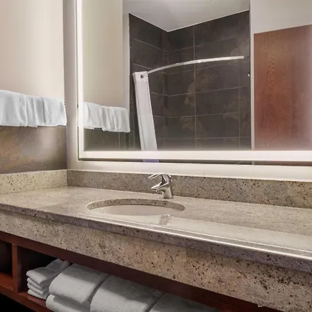 Hotel Drury Plaza New Orleans