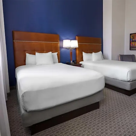Hotel Drury Plaza 4*
