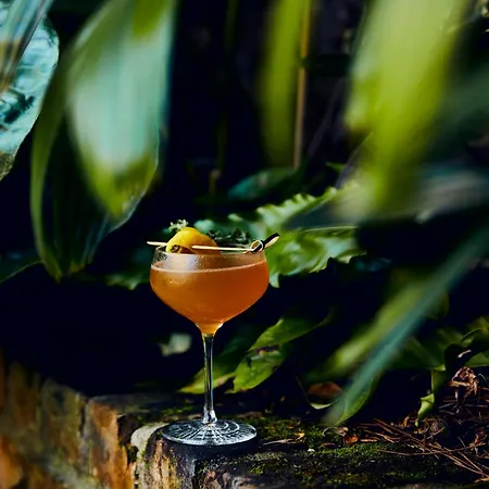 Kimpton Fontenot By Ihg Hotel New Orleans