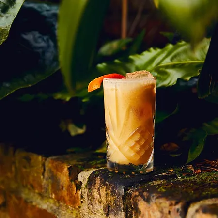 Kimpton Fontenot By Ihg 4* New Orleans
