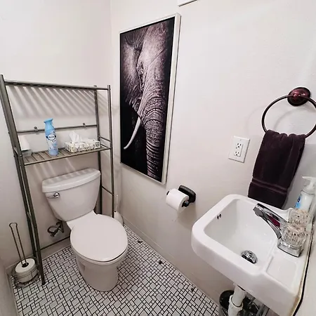 Apartment 3 Bedroom Private First Floor Apartment In Marigny Sleeps 6 Walk To Frenchmen & Bourbon & French Quarter New Orleans