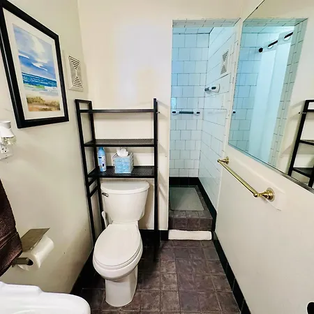 Apartment 3 Bedroom Private First Floor Apartment In Marigny Sleeps 6 Walk To Frenchmen & Bourbon & French Quarter