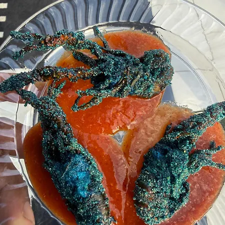 Hotel Blue Crawfish Boutique & Pool Bar