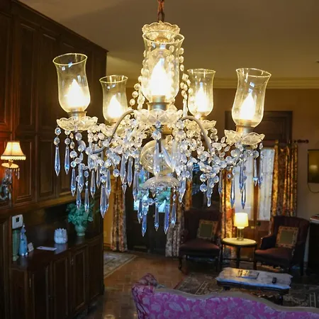 The Olivier House Hotel New Orleans