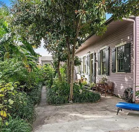 Apartment 1850s Gem New Orleans