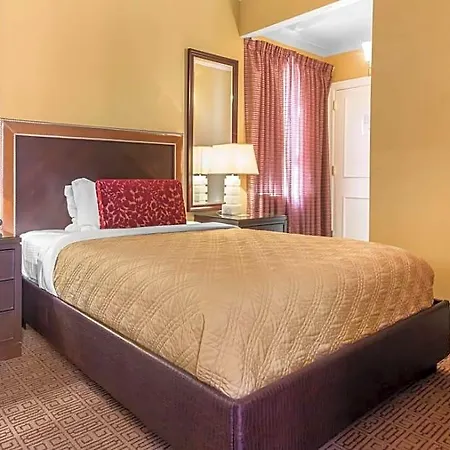 Hotel Theo New Orleans, Tapestry Collection By Hilton 4*