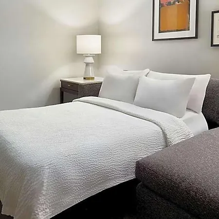 Hotel Courtyard By Marriott French Quarter/iberville New Orleans