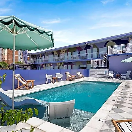 The Iris Hotel *