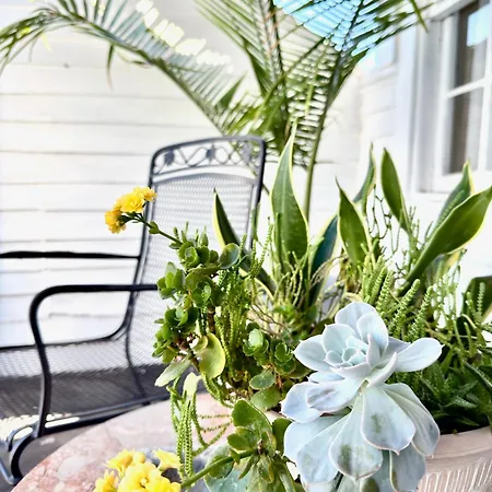 Charming Marigny 1br Near Frenchmen Street *
