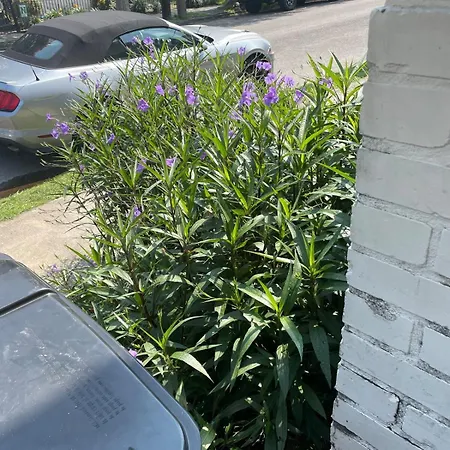 East Riverside- Great Location-quiet & * New Orleans