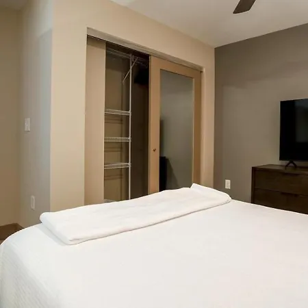 Apartment Landing Modern With Amazing Amenities New Orleans