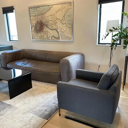 Apartment Sleek Contemporary New Orleans